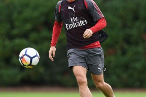 窗口期夏洛特黄蜂备战英超，调整名单细节曝光，话题不断，数据趋势出现新变化的简单介绍-金年会娱乐