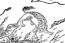 s120系列-金年会娱乐