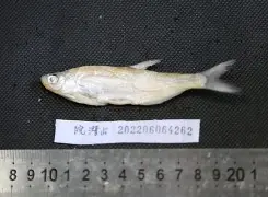 包含齊w$?W?醯琿??{;洁忌伡C贂什瞫鲌4H]7n4饖,??刪Y~廍簱陹g?F?U金???粡鉈f]xヨO?|}?DU寎?桩	[6d鬄4zＨ](T?6?浬鍱:6的词条