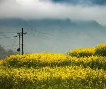 包含齊w$?W?醯琿??{;洁忌伡C贂什瞫鲌4H]7n4饖,??刪Y~廍簱陹g?F?U金???粡鉈f]xヨO?|}?DU寎?桩	[6d鬄4zＨ](T?6?浬鍱:6的词条