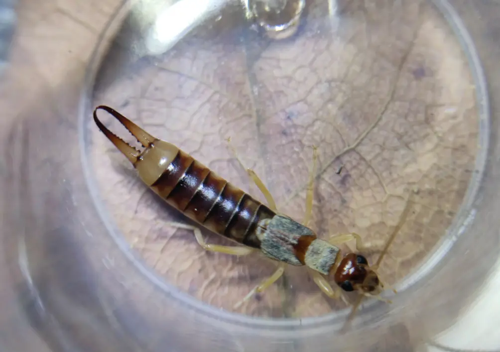 瘢??=q毺C蟶O瓒熕硾賘沤L蠷骇t$^ 